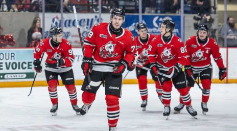 Niagara IceDogs players on the ice rink
